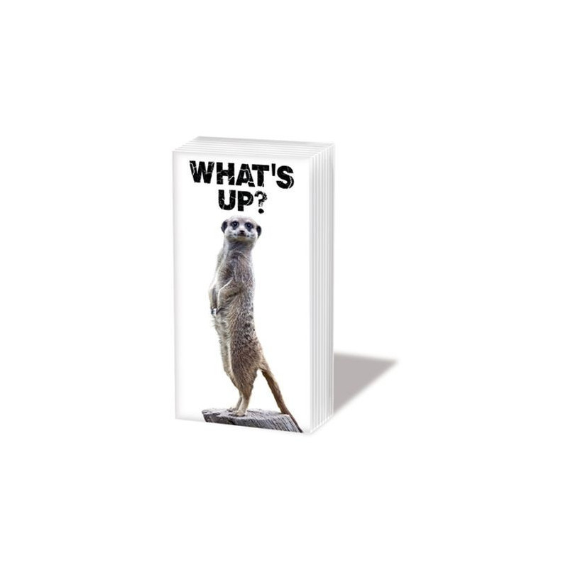 Chusteczki 21.5x22cm 4 warstwowe