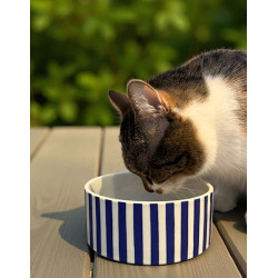 Księżniczka Grace... 2