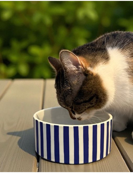 Księżniczka Grace Porcelanowe Miski