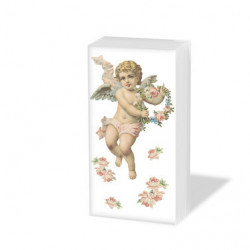 Chusteczki 21.5x22cm 4 warstwowe