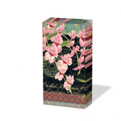 Chusteczki 21.5x22cm 4 warstwowe